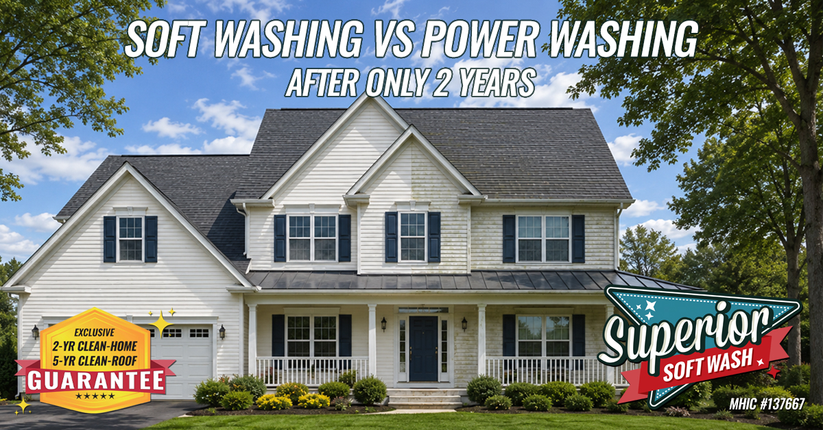 Exterior Cleaning
